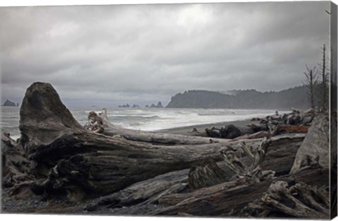 Framed 239 Olympic NP Print