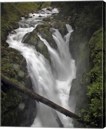 Framed 241 Olympic NP Print