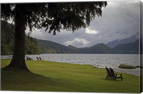 Framed 243 Olympic NP Print