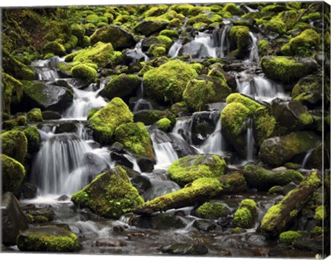 Framed 244 Olympic NP Print