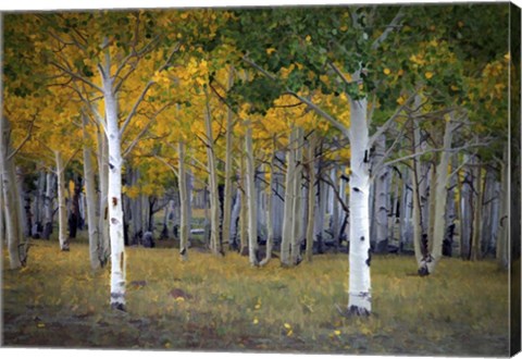 Framed Dixie Forest, UT Print