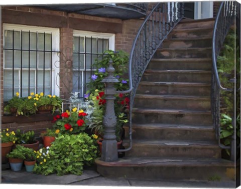 Framed Townhouse Steps Print