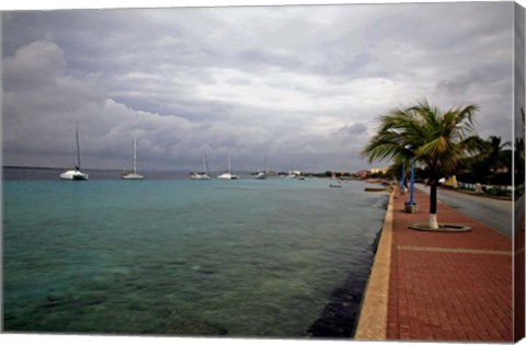 Framed Bonaire 1 Print