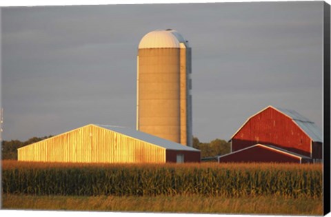 Framed Barn &amp; Silo Print