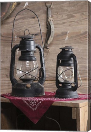 Framed Vintage Lamps Print