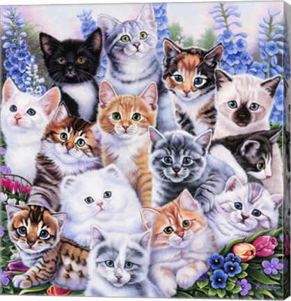 Framed Kitten Collage Print
