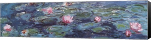 Framed Water Lilies (Detail) Print