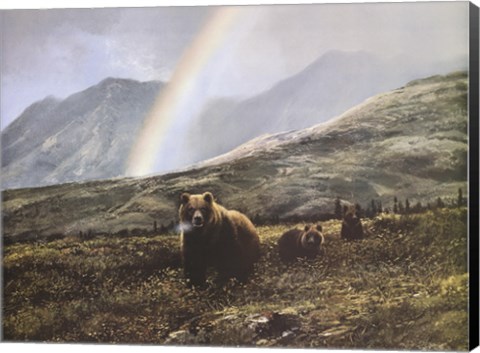 Framed Over The Pass Print