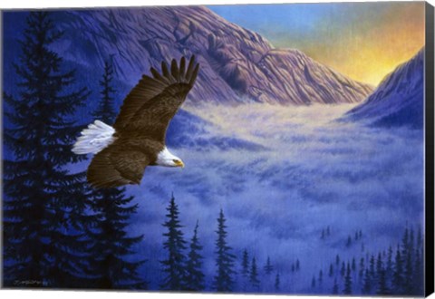 Framed Soaring High Print