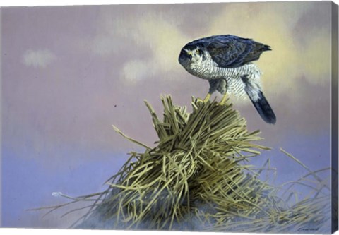 Framed On Guard Print