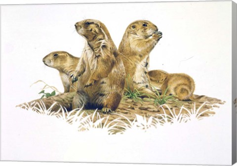 Framed Group Outing Print