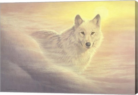 Framed Evening Mist Print
