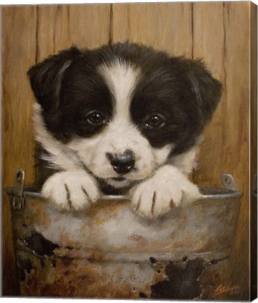 Framed Peek-a-Boo Print