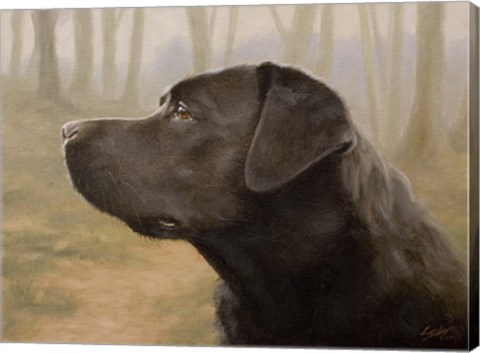 Framed Profile Print