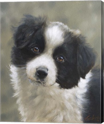 Framed Curious Print