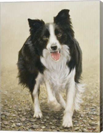 Framed Attention Seeker Print