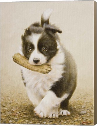 Framed Fetching Print