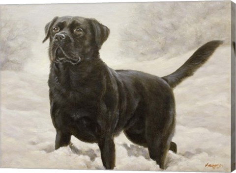 Framed Splashing Print