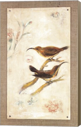 Framed Long-Billed Sunbird Print