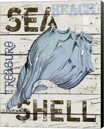 Framed Blue Seashell Print