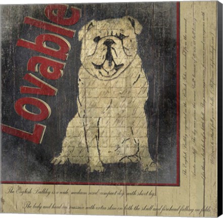 Framed Bull Dog II Print