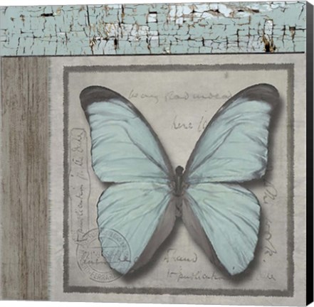 Framed Butterfly Blue Print