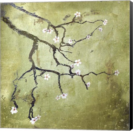 Framed Cherry Tree II Print