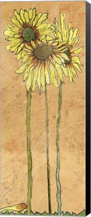 Framed Daisy's Print