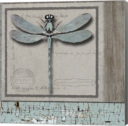 Framed Dragonfly Blue Print