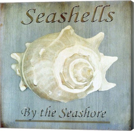 Framed Seashells by the Seashore I Print