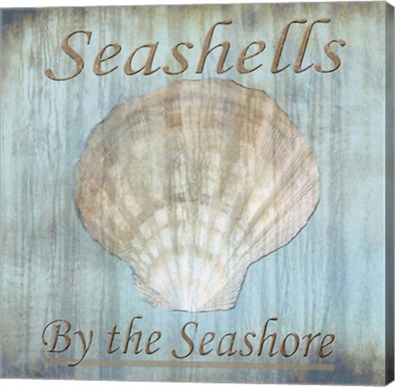 Framed Seashells by the Seashore II Print