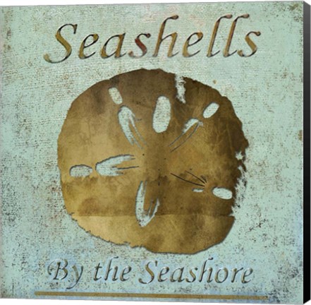 Framed Seashells II Print