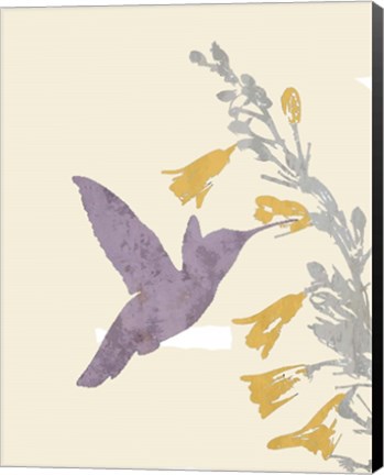 Framed Hummingbird and flowers Print