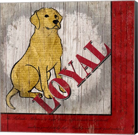 Framed Labrador Retriever II Print