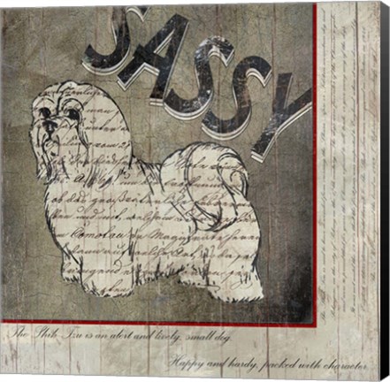 Framed Shih Tzu II Print