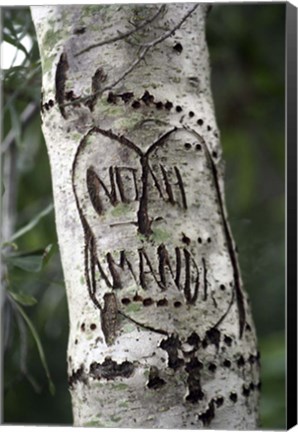 Framed Old Fashioned Love Print