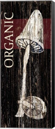 Framed Organic Mushroom Print