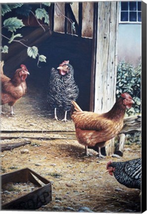 Framed Russell&#39;s Chickens Print