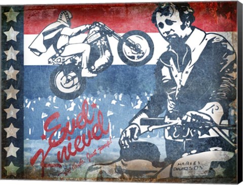 Framed Evel Print