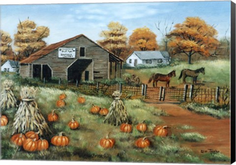 Framed Cooksville Barn Print
