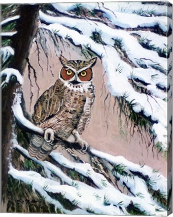 Framed Great Horned Owl In Winter Print
