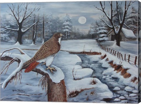 Framed Red Tailed Hawk Print