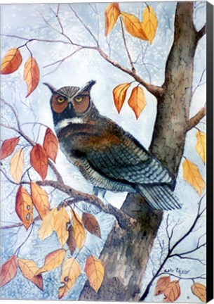 Framed Owl and Autumn Leaves Print