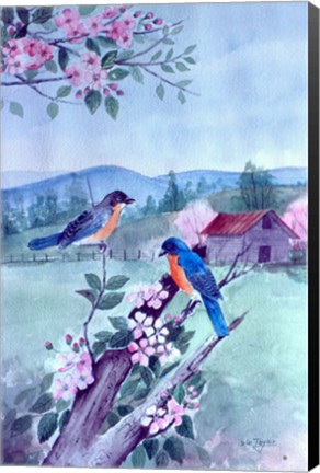 Framed Bluebirds and Apple Blossoms Print