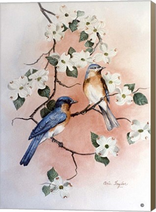 Framed Bluebirds and Dogwood Print