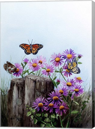 Framed Butterflies Print