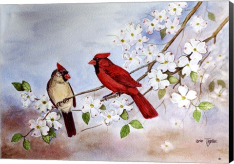 Framed Cardinals and Dogwood Print