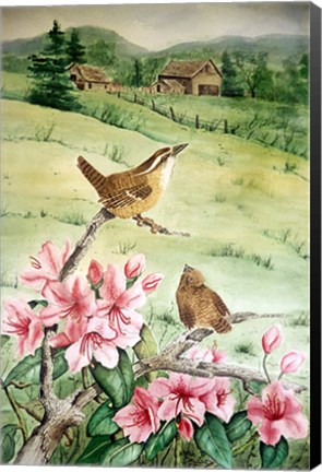 Framed Carolina Wren Print