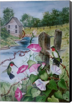 Framed Hummingbirds Print