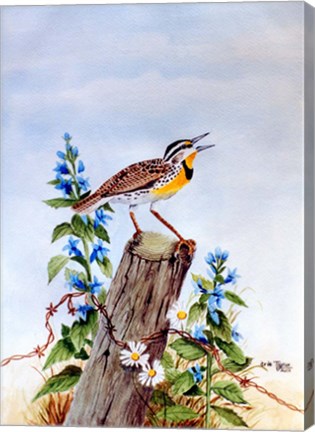 Framed Meadowlark 2 Print